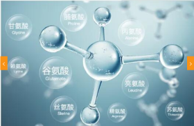 氨基酸检测_食品类